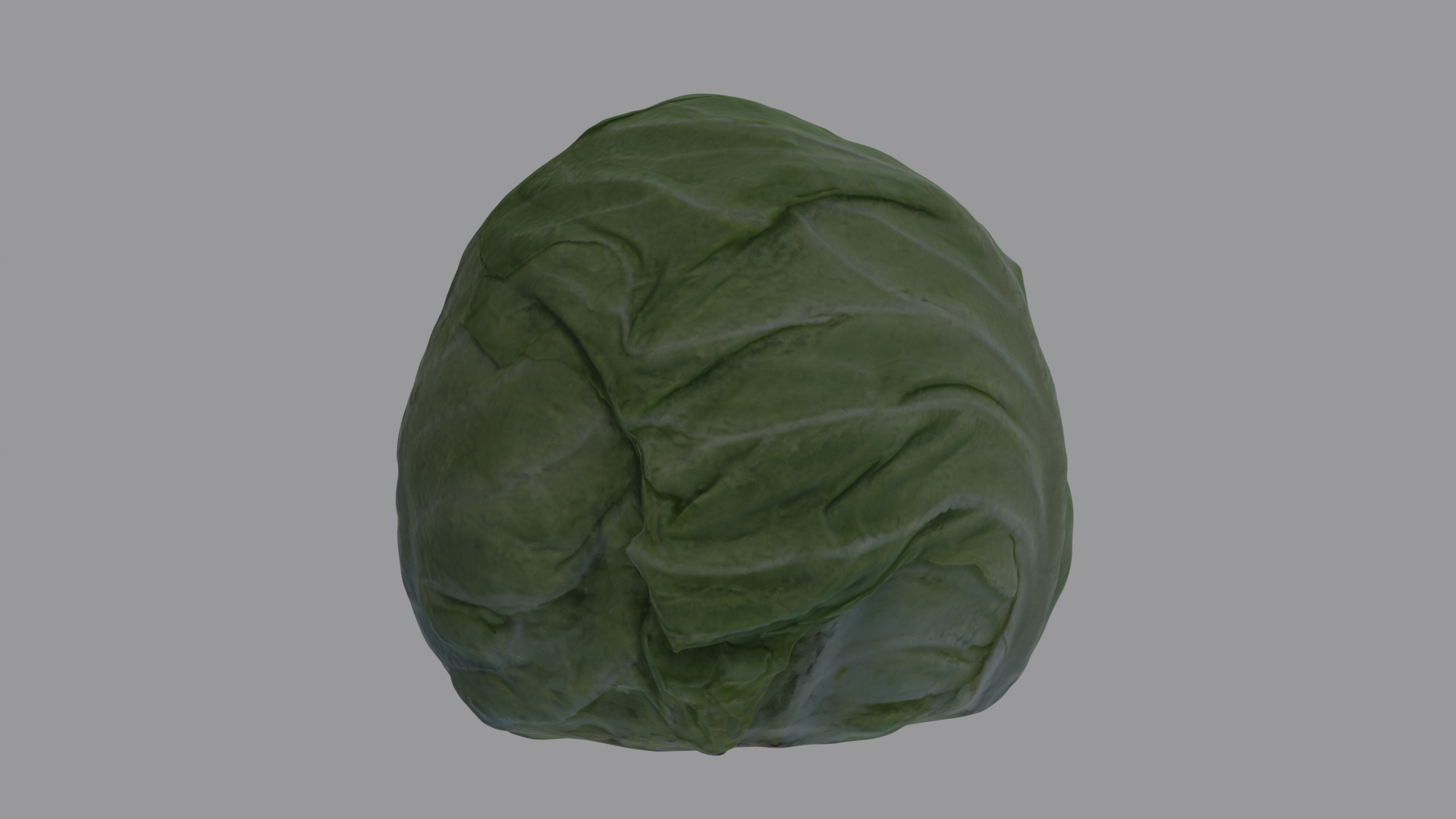 Cabbage Head preview image 4